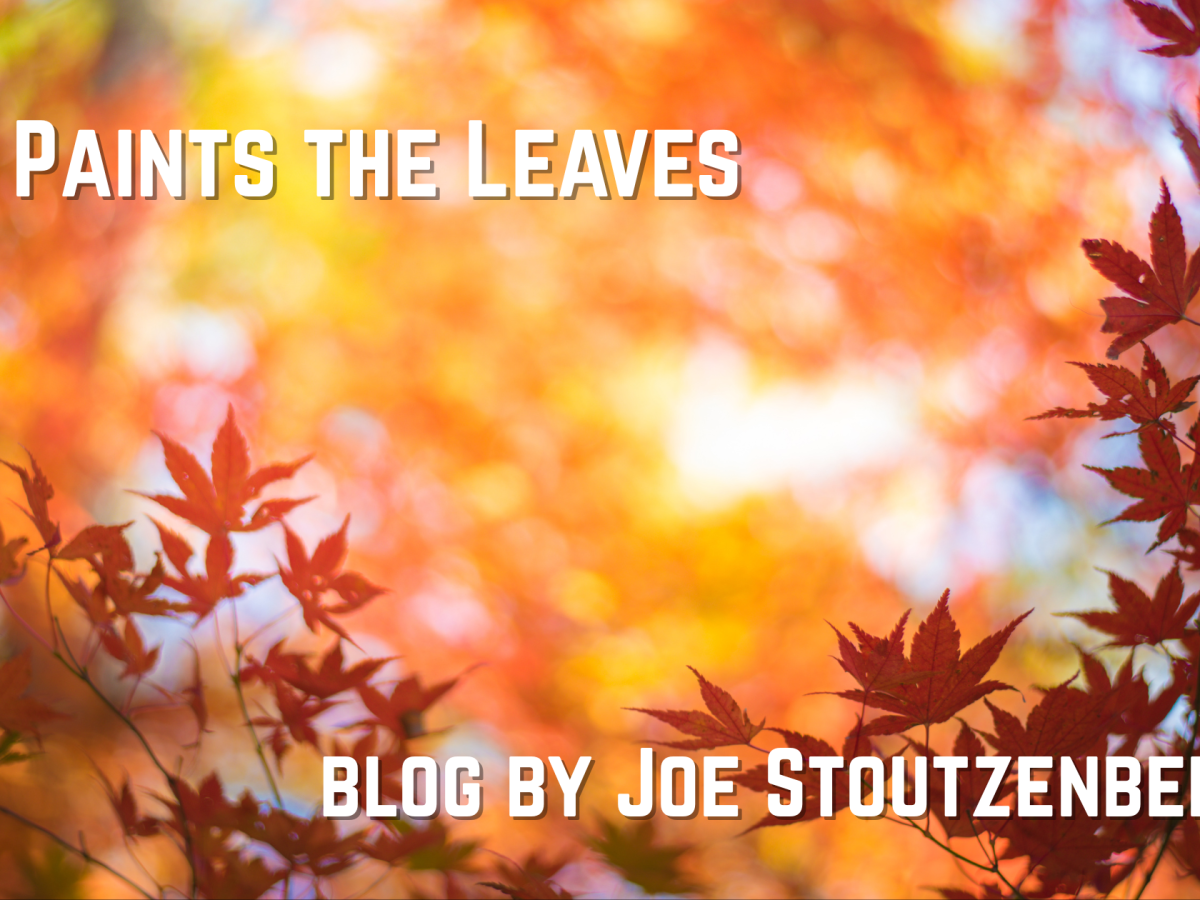 God Paints the Leaves