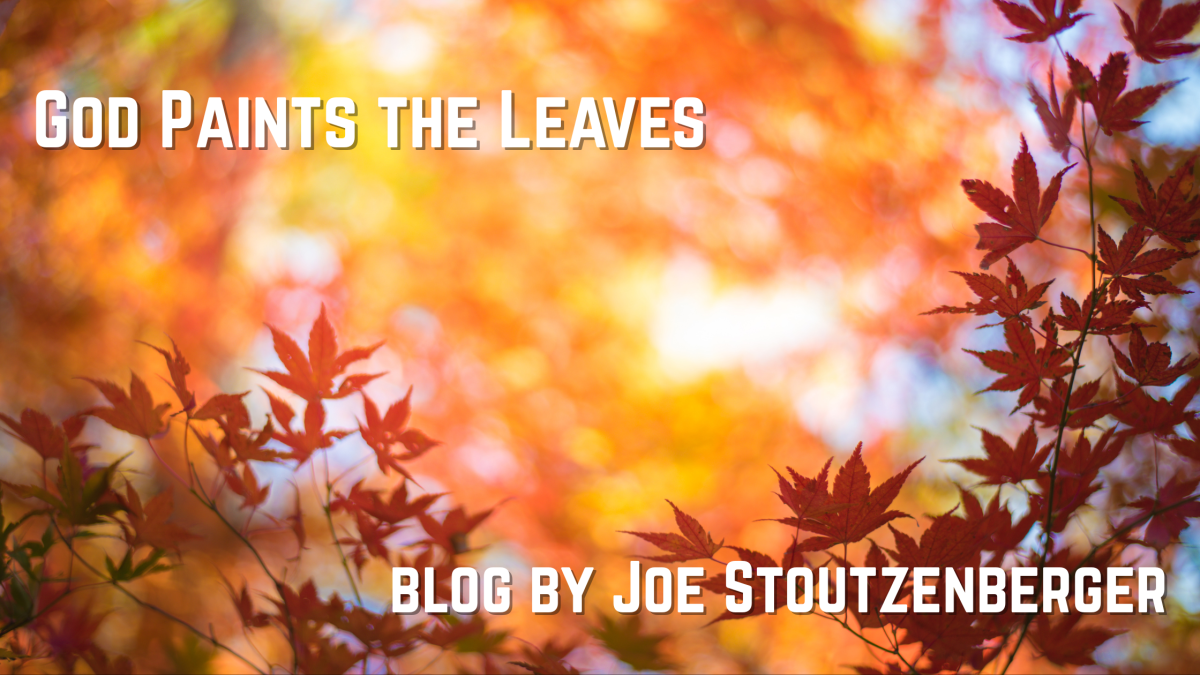 God Paints the Leaves