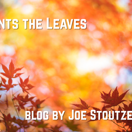 God Paints the Leaves