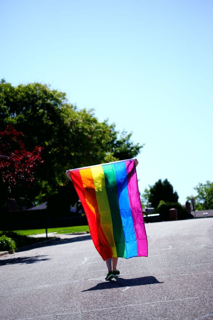 Image credit: pexels-mccutcheon-rainbowflag